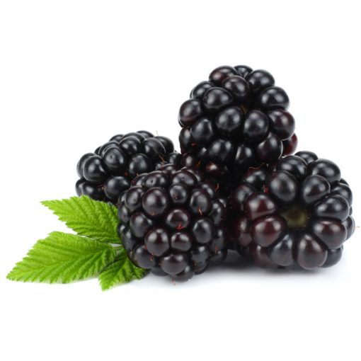 Blackberry Food Flavour - The Flavor Apprentice