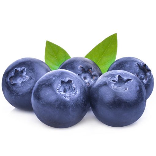 Blueberry Wild Food Flavour - The Flavor Apprentice