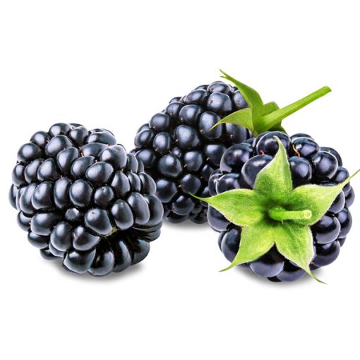 Boysenberry Food Flavour - Purilum